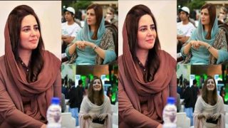 Paki Beautiful Parliament Minister – Nude Premium Show